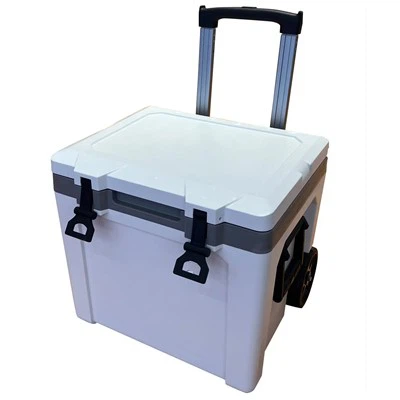 চাকা সহ 50 এল আইস বুকের পিকনিক কুলার
